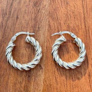 Elegant Silver Twisted Hoop Earrings